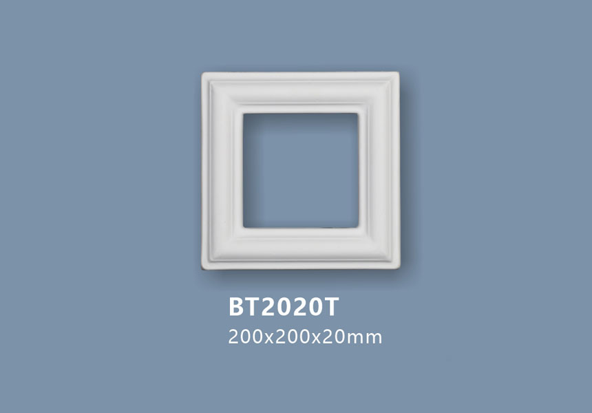 BT2020T