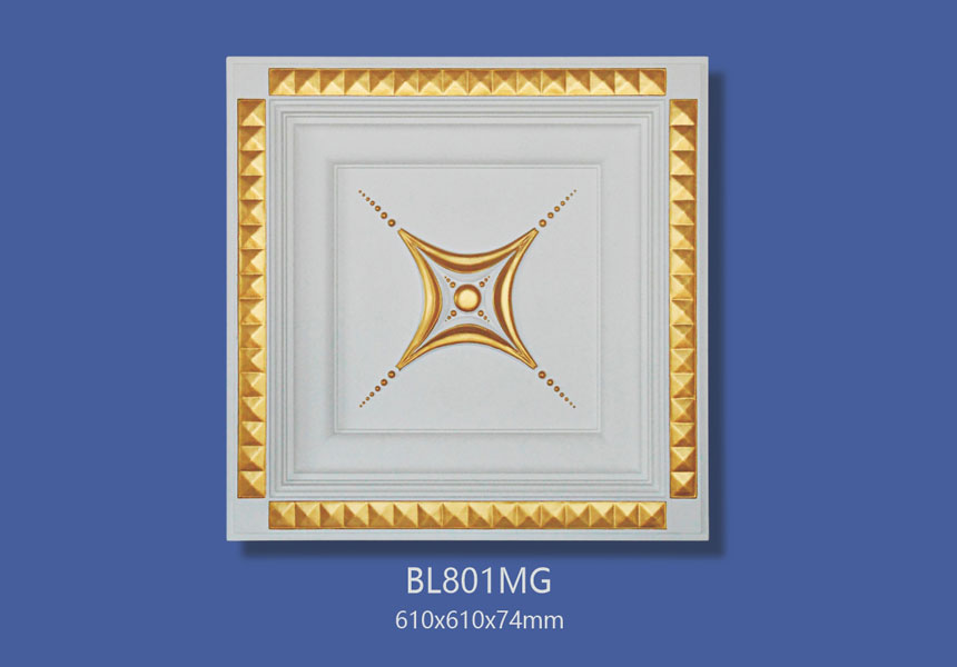 BL801MG